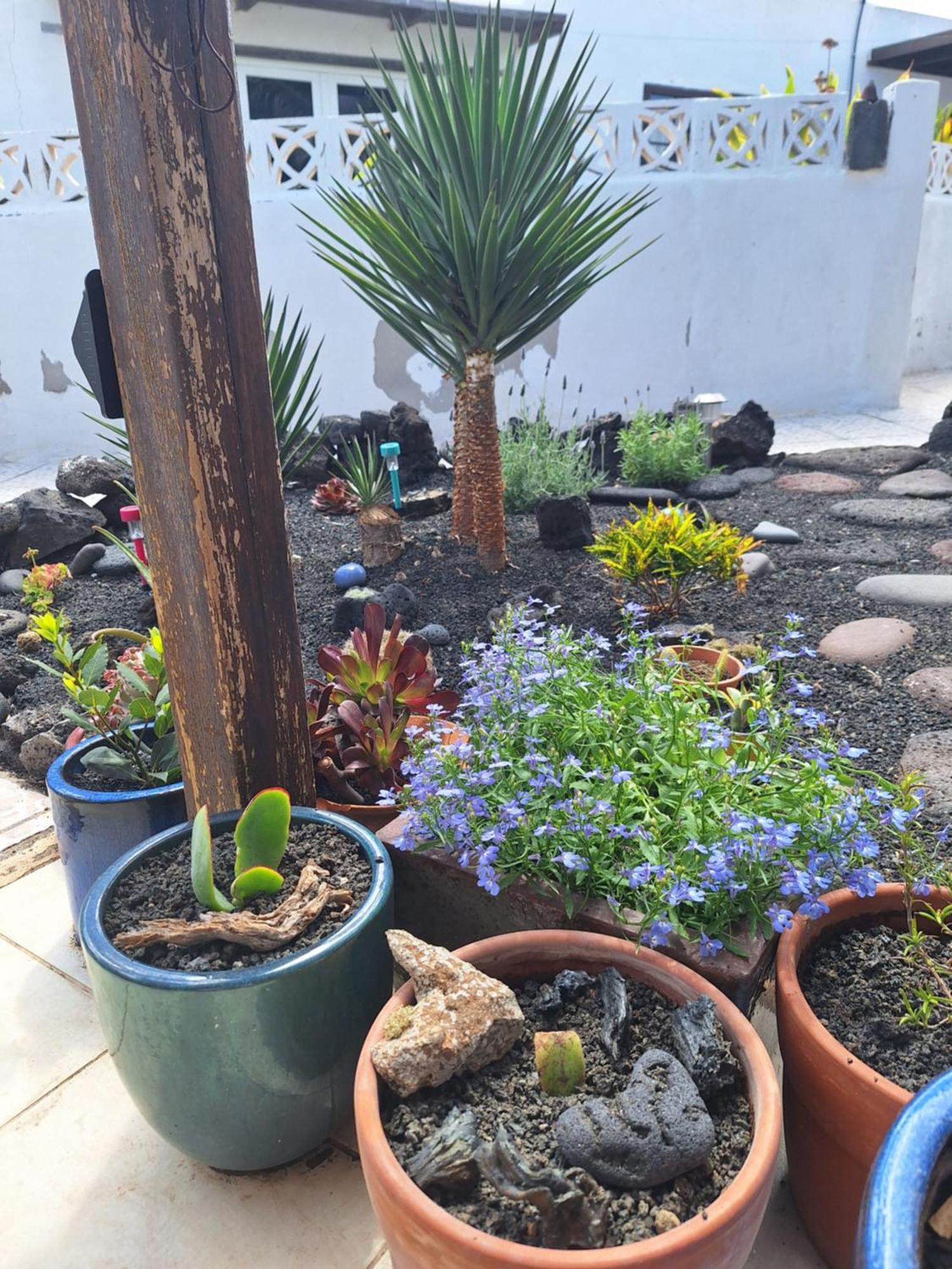 Casita Pequena Lanzarote Villa Teguise  Eksteriør bilde